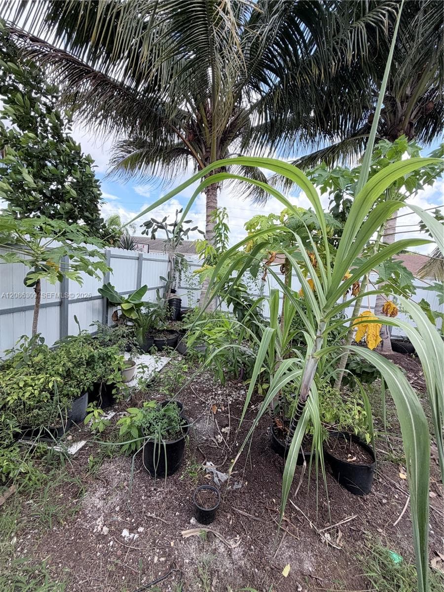Outdoor space featuring mature palm trees and white vinyl privacy fencing