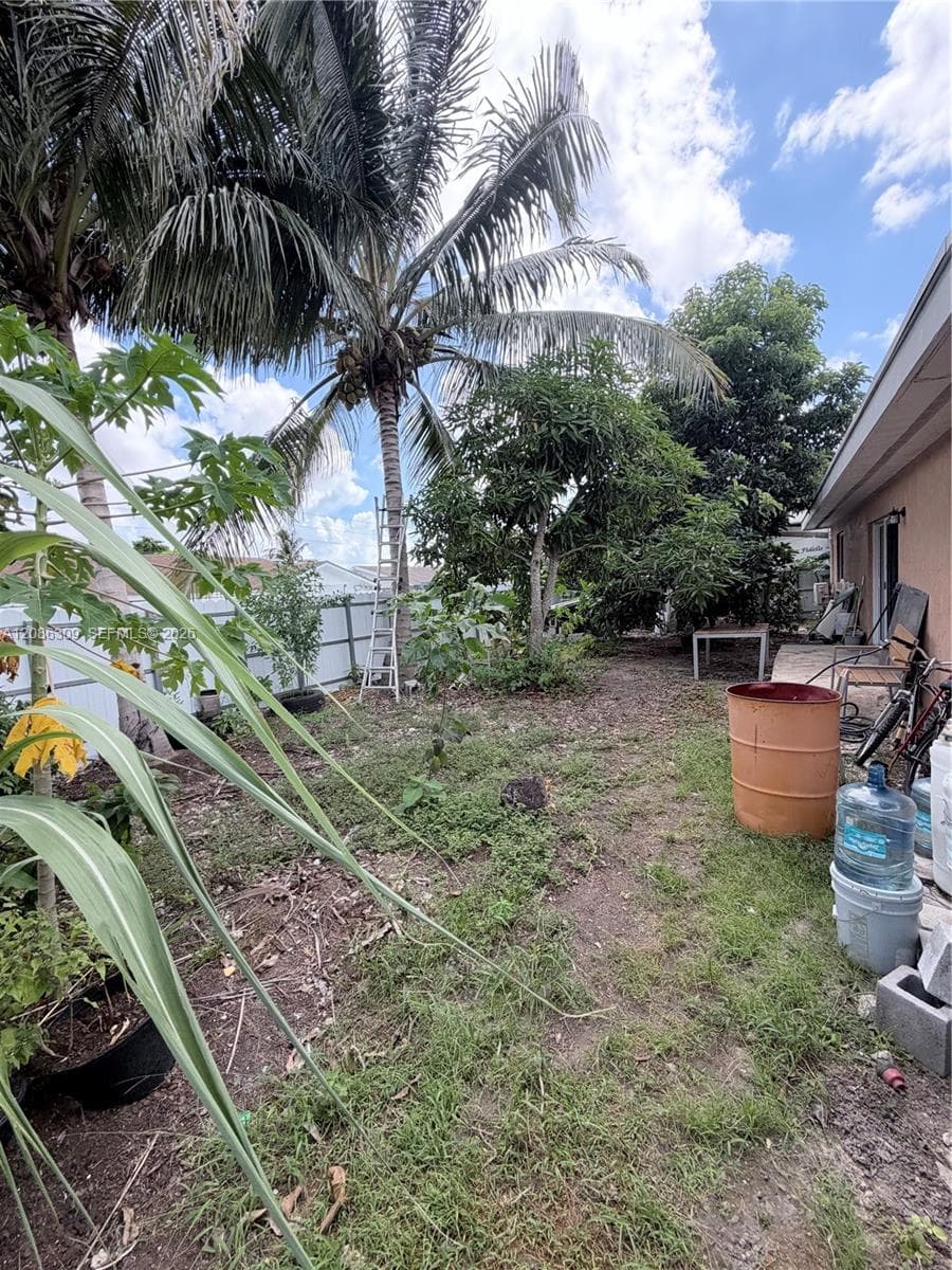 Outdoor space featuring mature palm trees, established vegetation, and perimeter fencing
