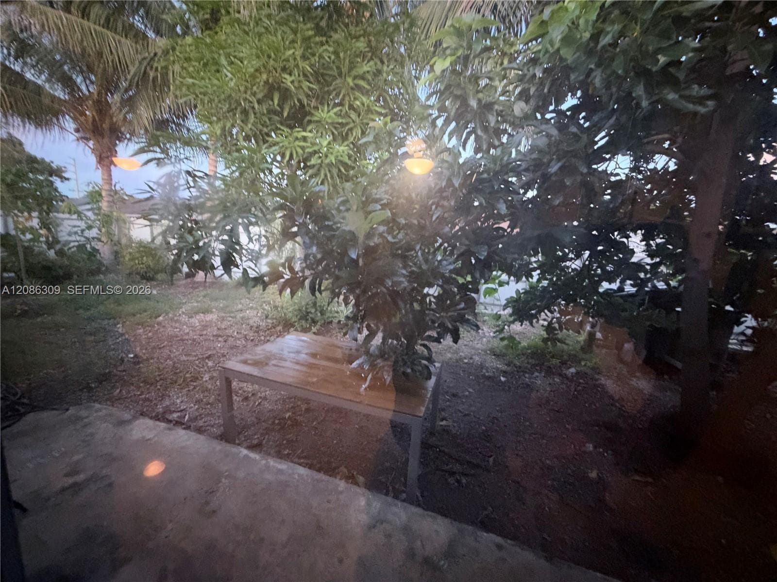 Concrete patio area featuring mature trees and established landscaping
