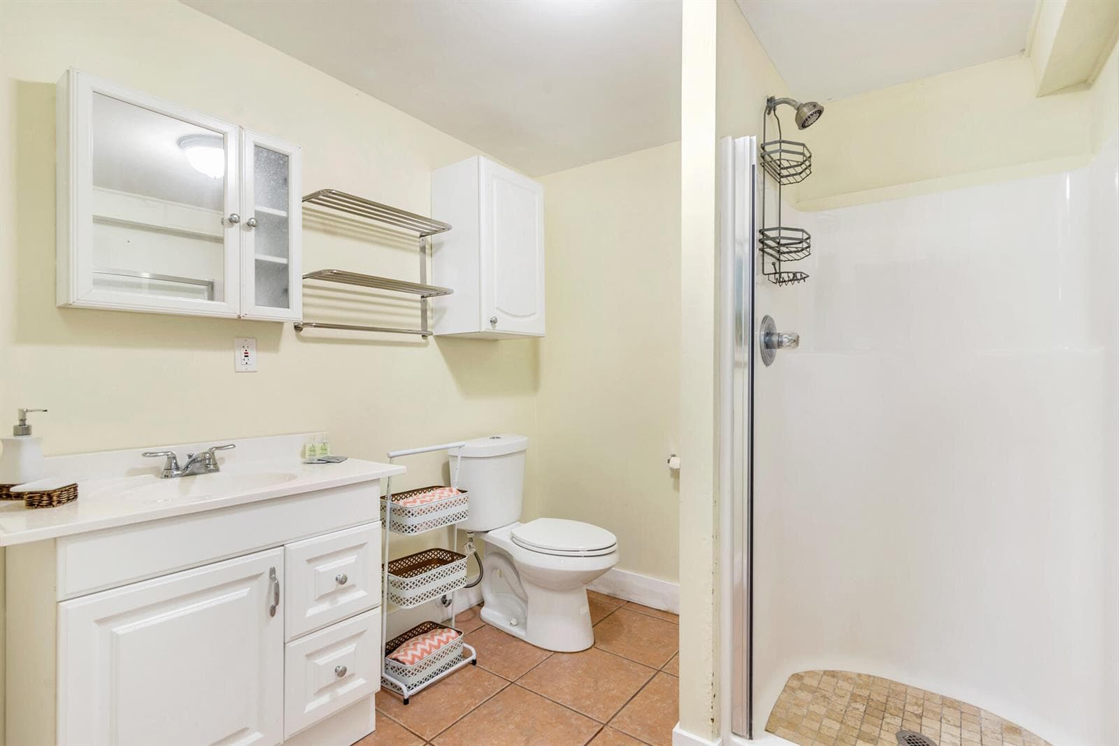 Downstairs Apartment Bath