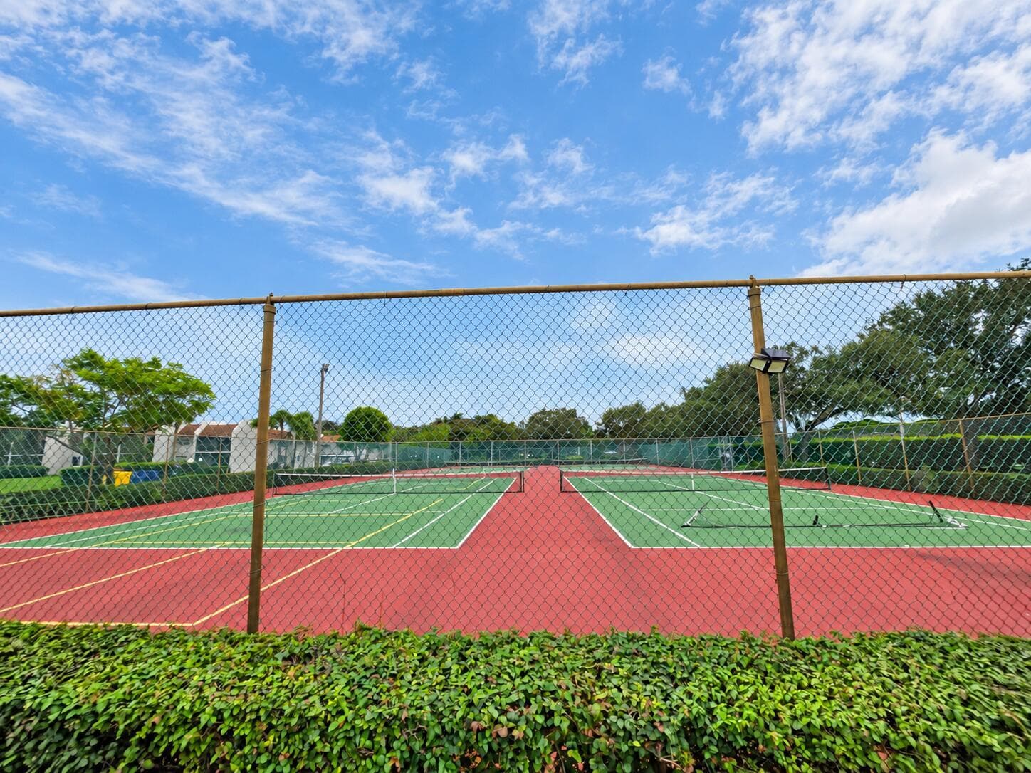 tennis
