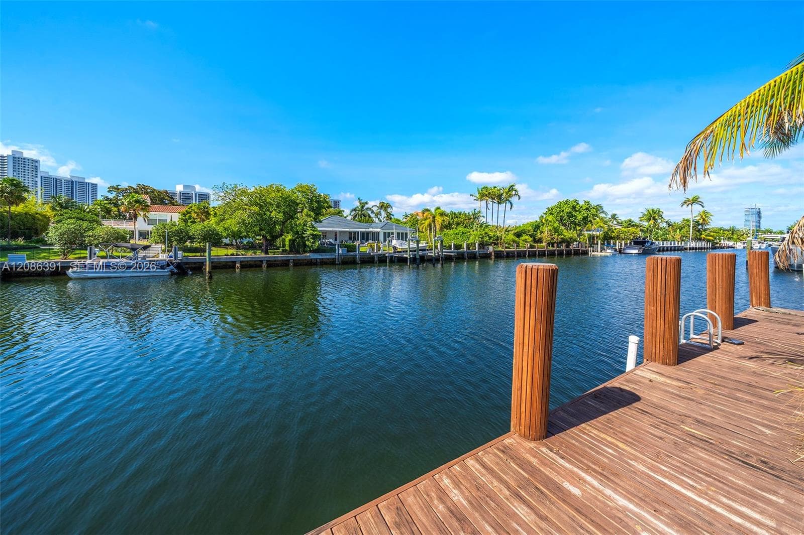 419 Alamanda Dr photo 30
