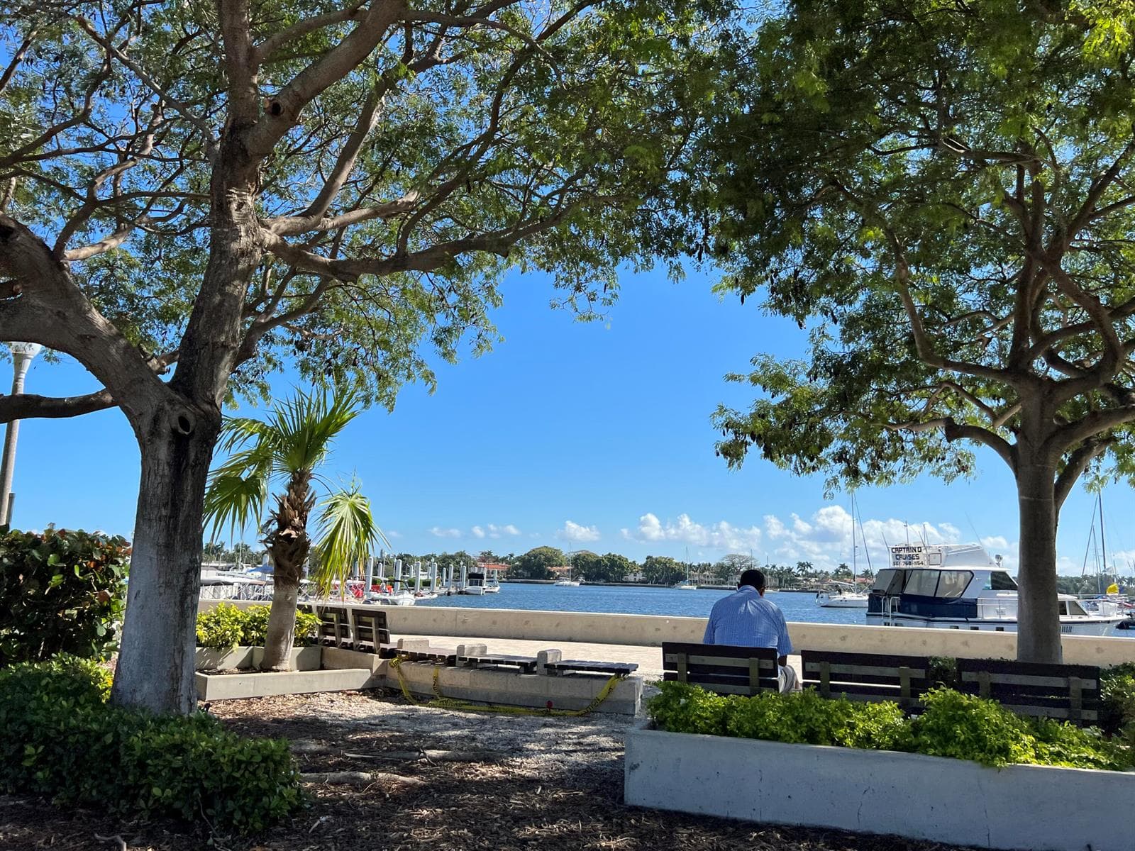 Flagler Drive
