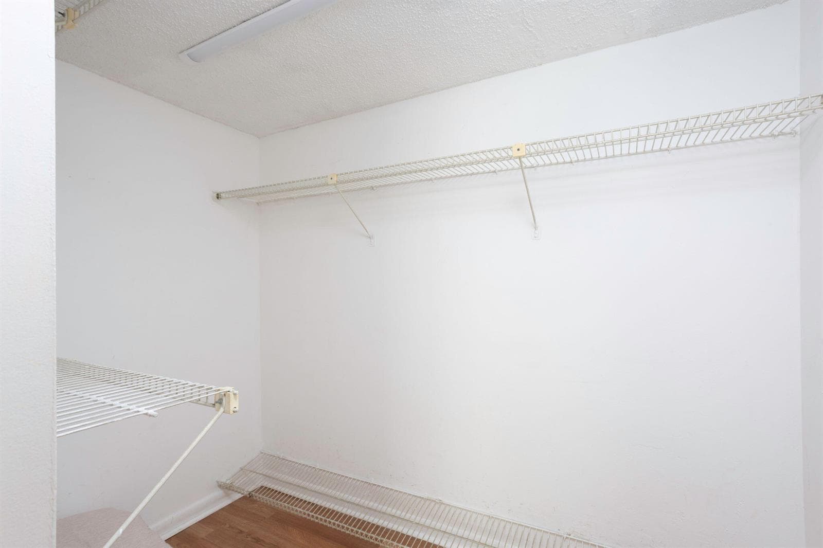 13-web-or-mls-0E2A2400
