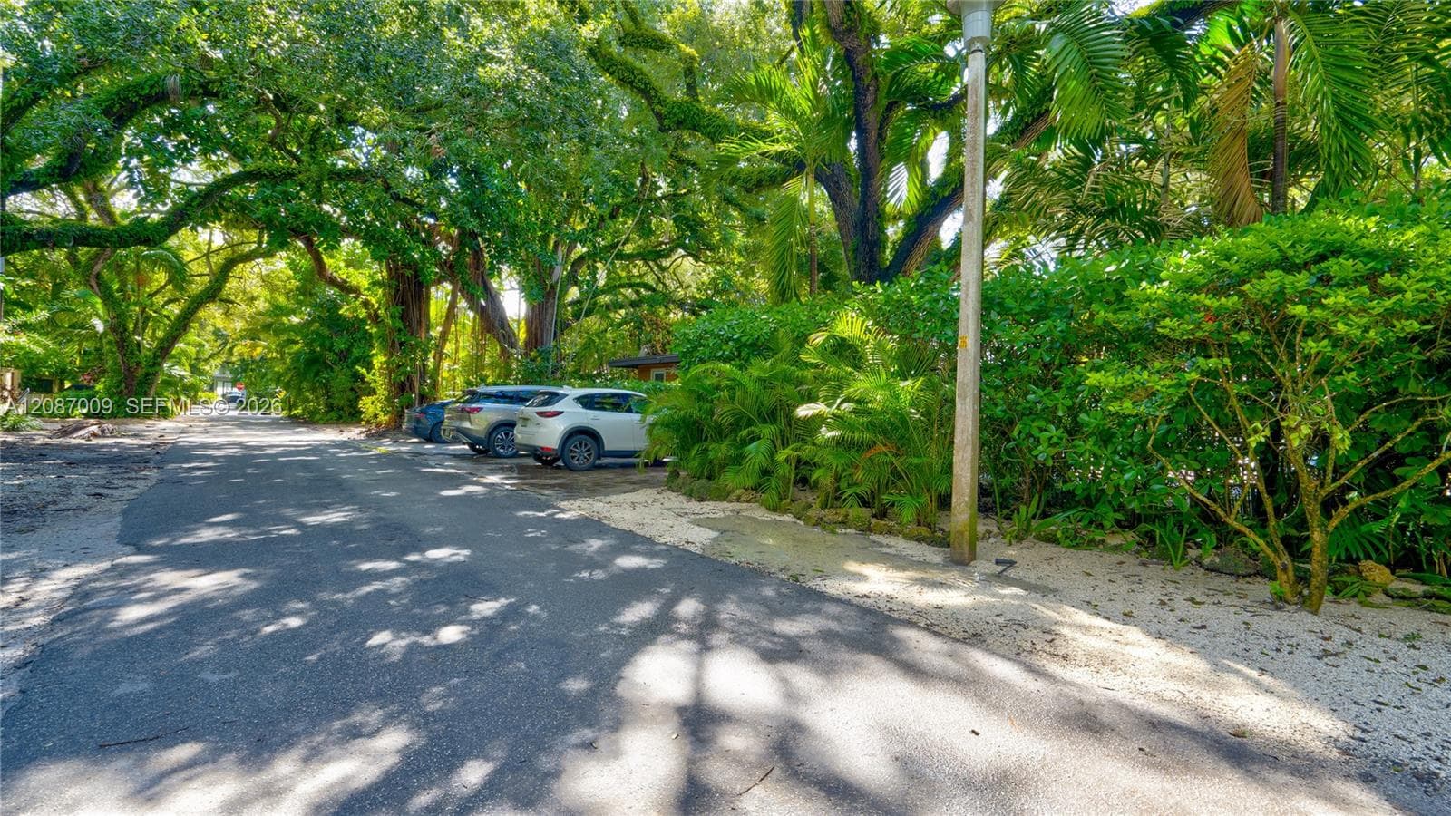 4080 Lybyer Ave photo 51