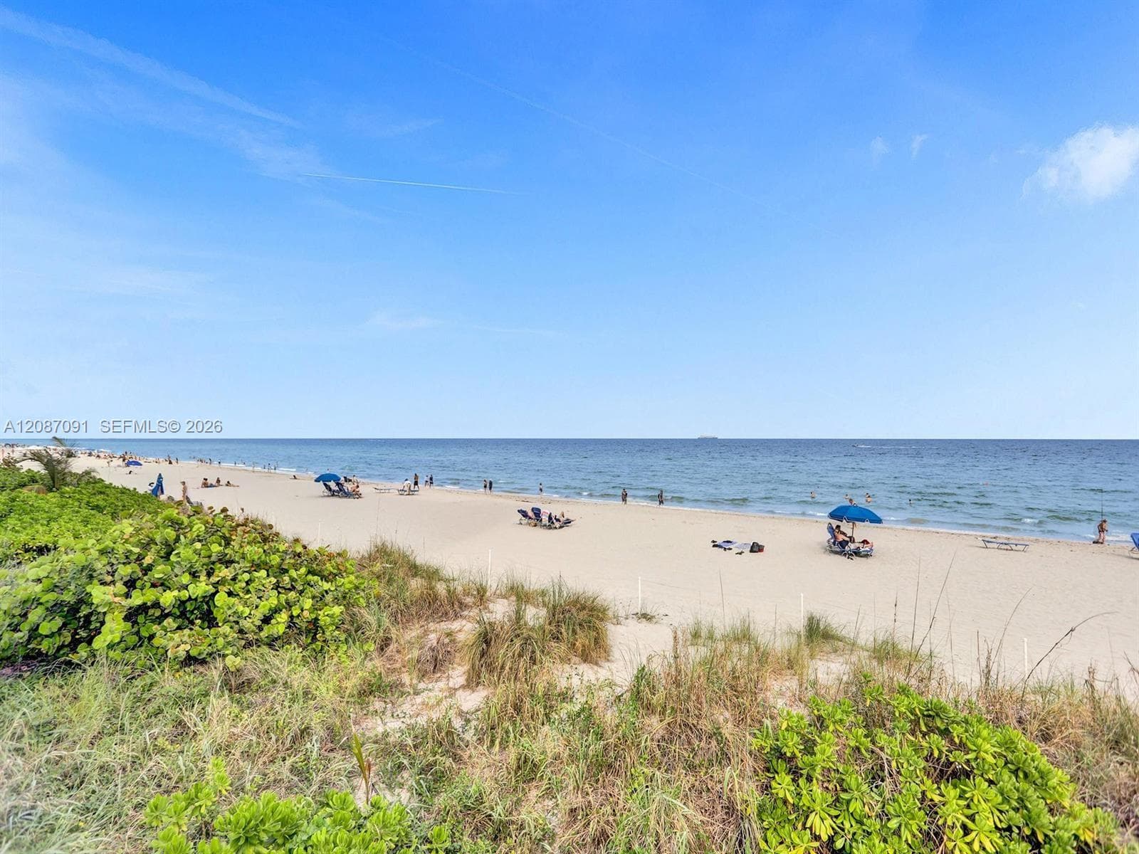 LA MER ESTATES · #402 in Hallandale Beach - Photo 45