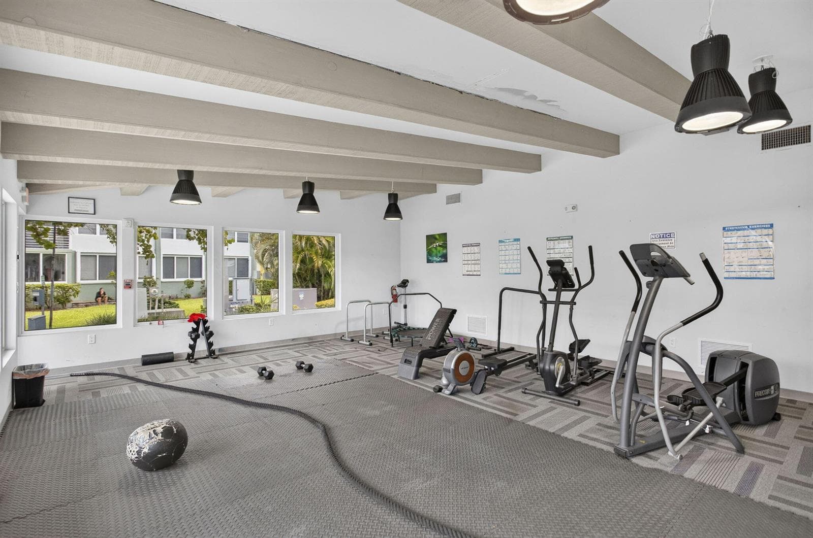 47-web-or-mls-Gym 2