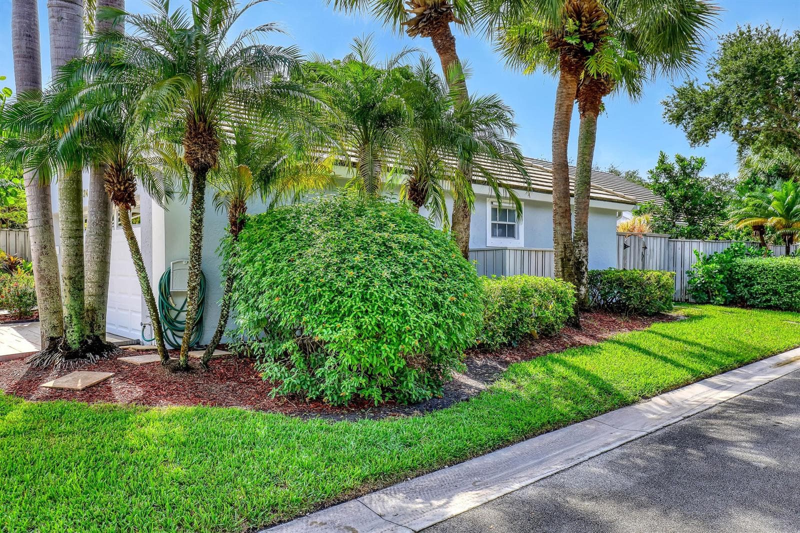Corner Lot w/Side Yard