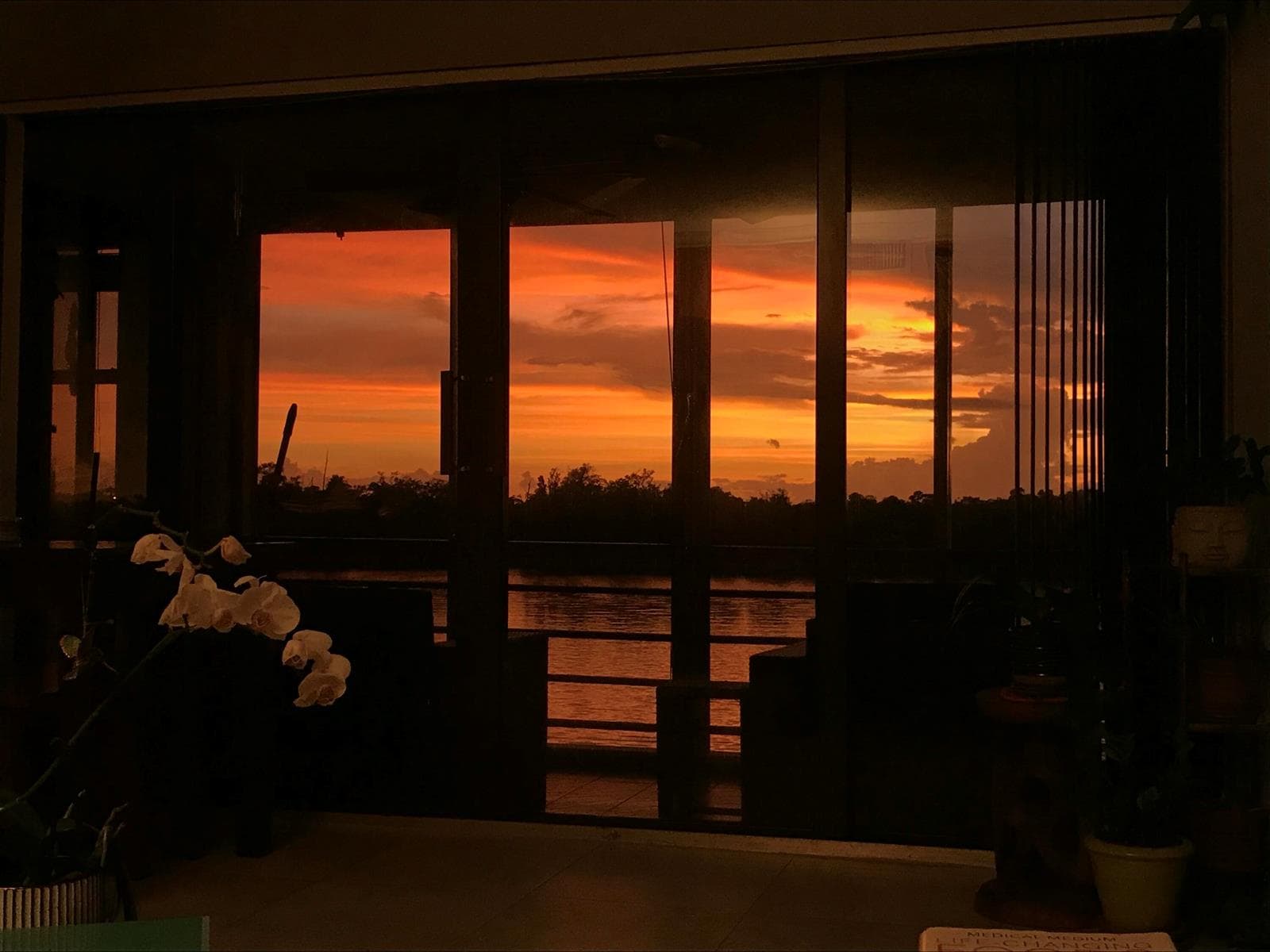 View (2)