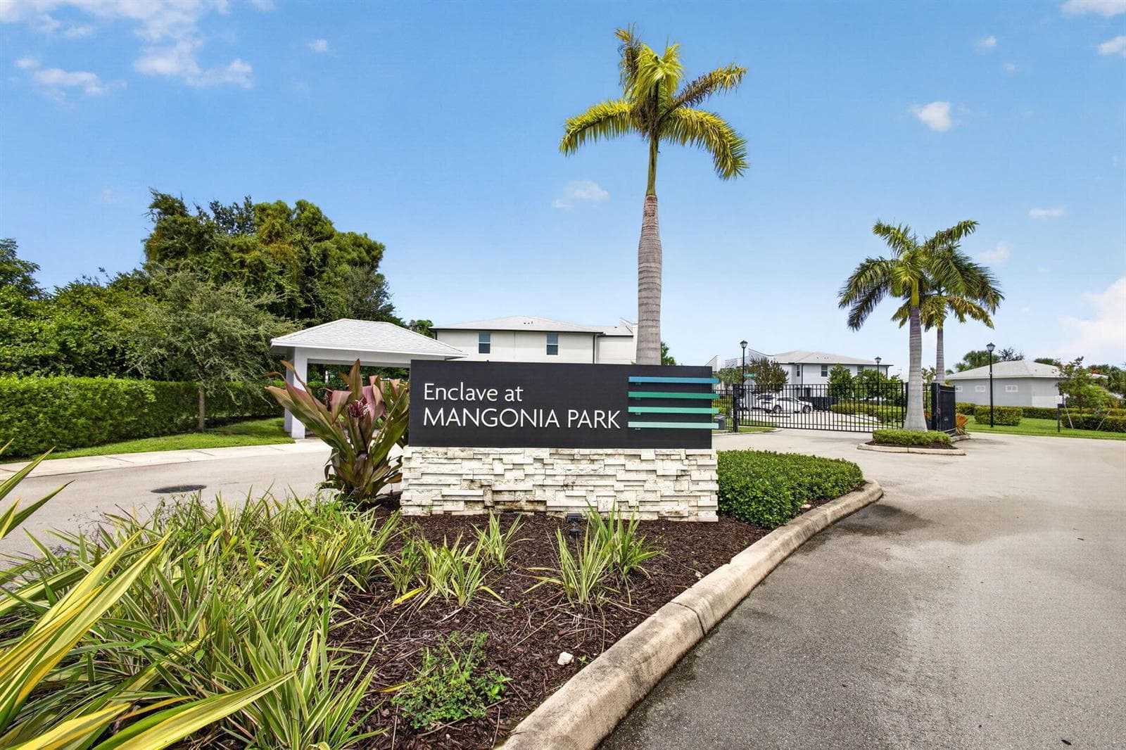 60-web-or-mls-5D1A2299