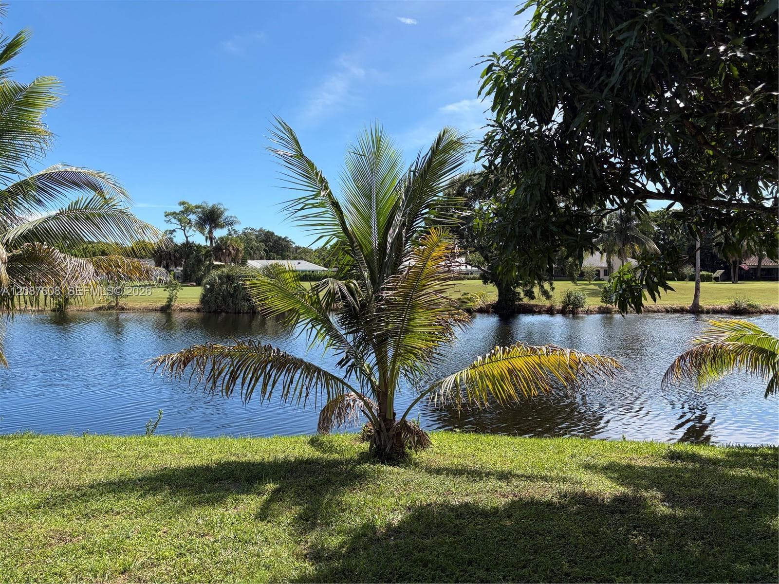Waterfront grounds featuring a grass lawn, mature trees, and palms