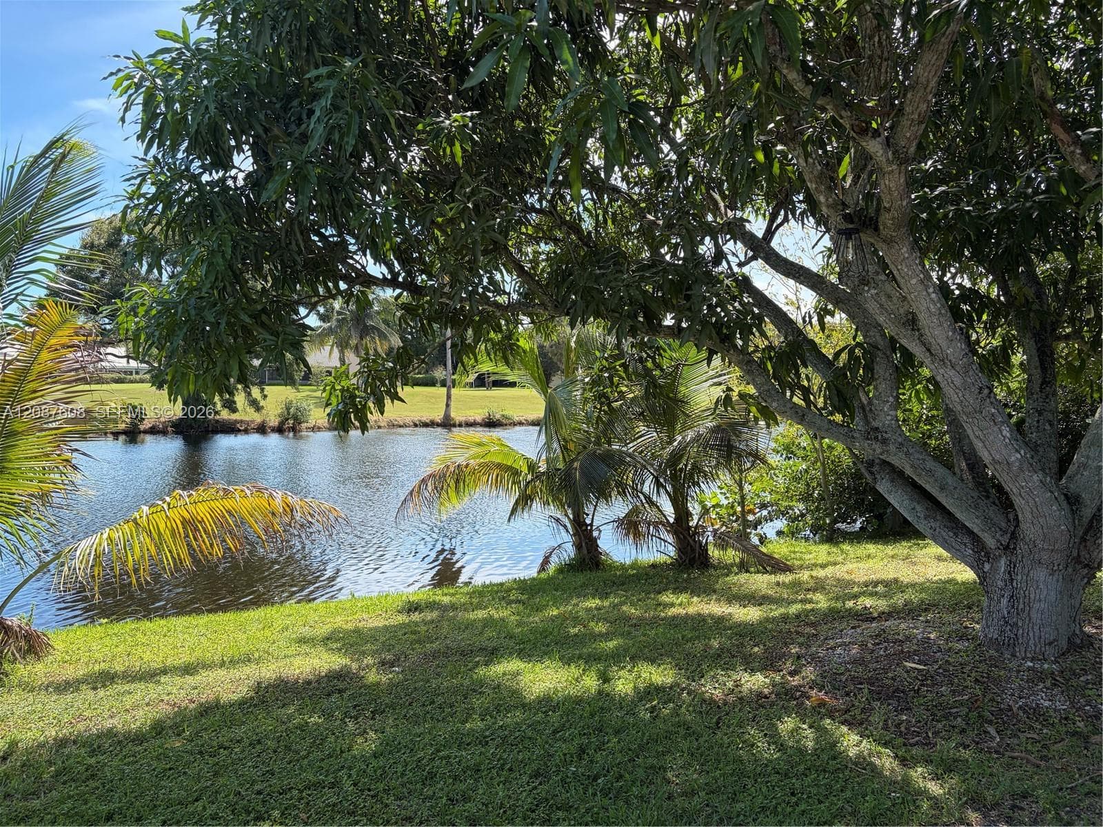 Waterfront lot featuring mature shade trees, established palms, and maintained lawn area