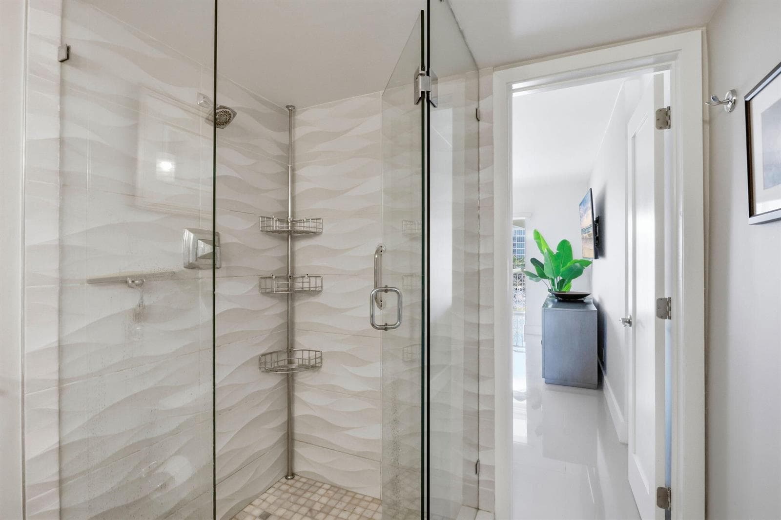 Primary Shower