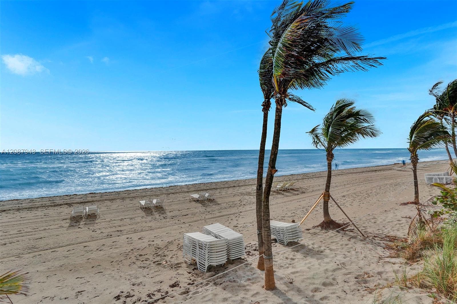 PARKER PLAZA ESTATES COND · #1621 in Hallandale Beach - Photo 42