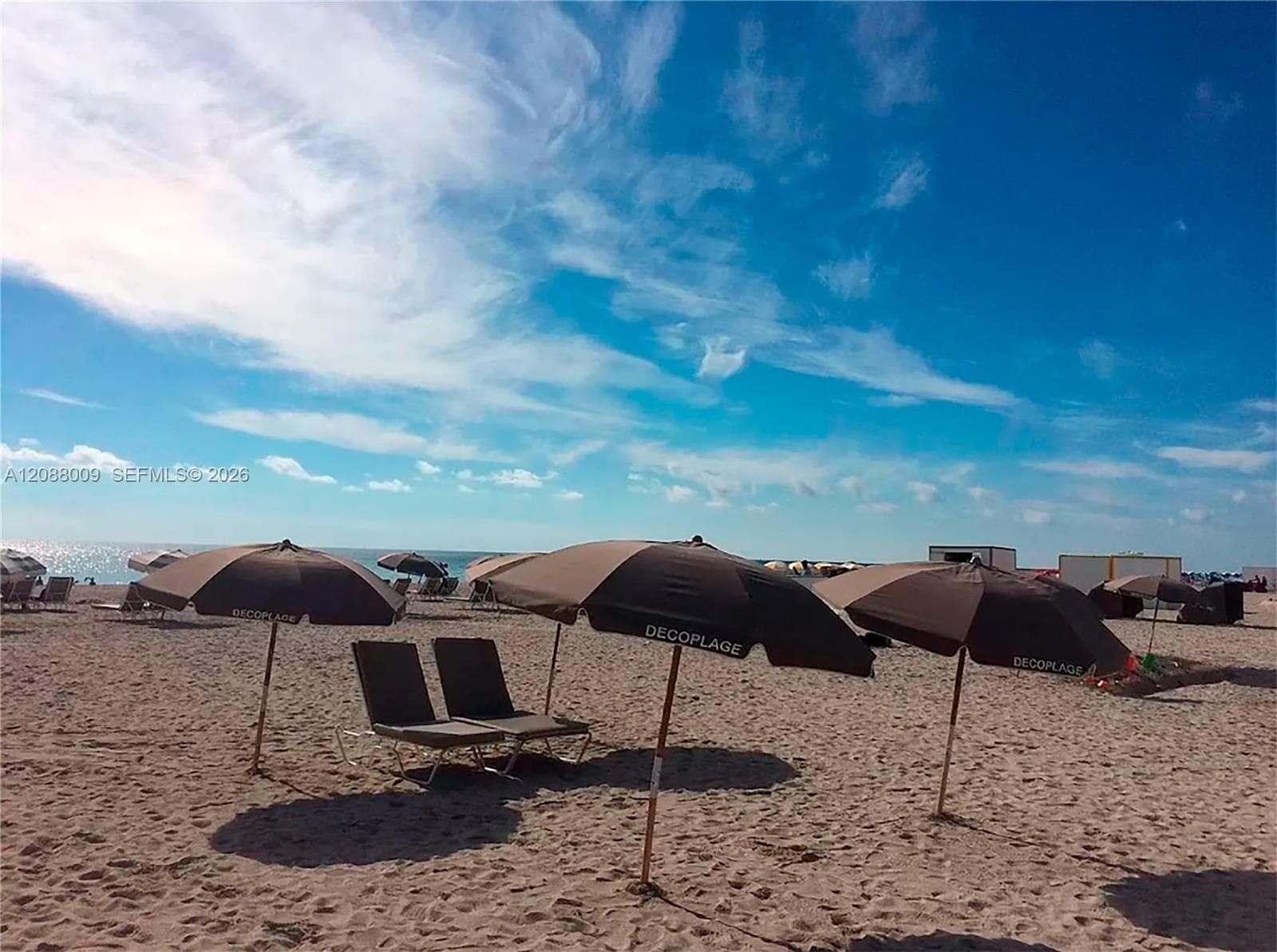 The Decoplage · #515 in Miami Beach - Photo 22