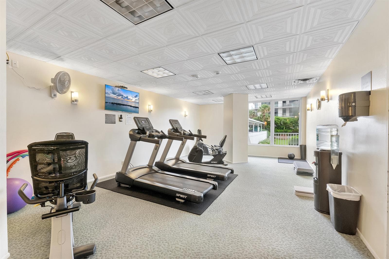 Gym