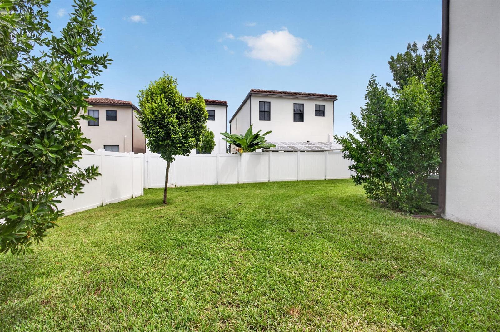 43-web-or-mls-5D1A2547