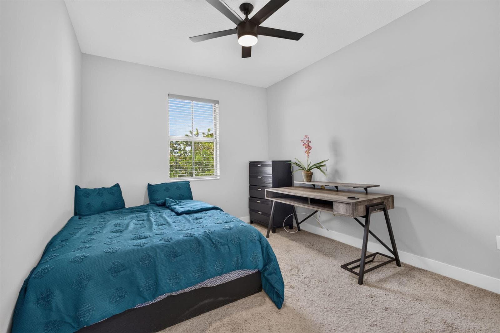 28-web-or-mls-5D1A2467