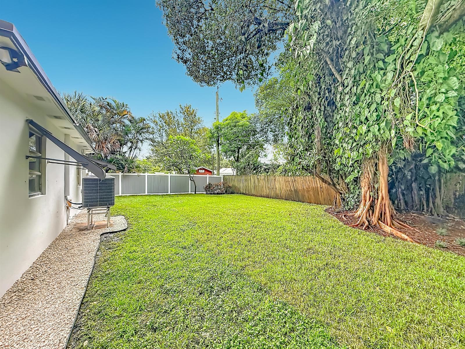 Yard