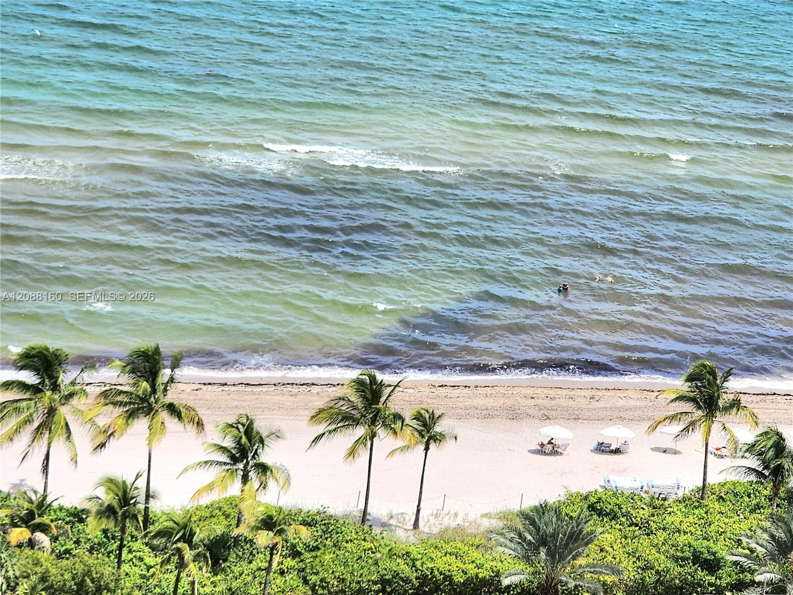 Parker Plaza Estates · #1710 in Hallandale Beach - Photo 4