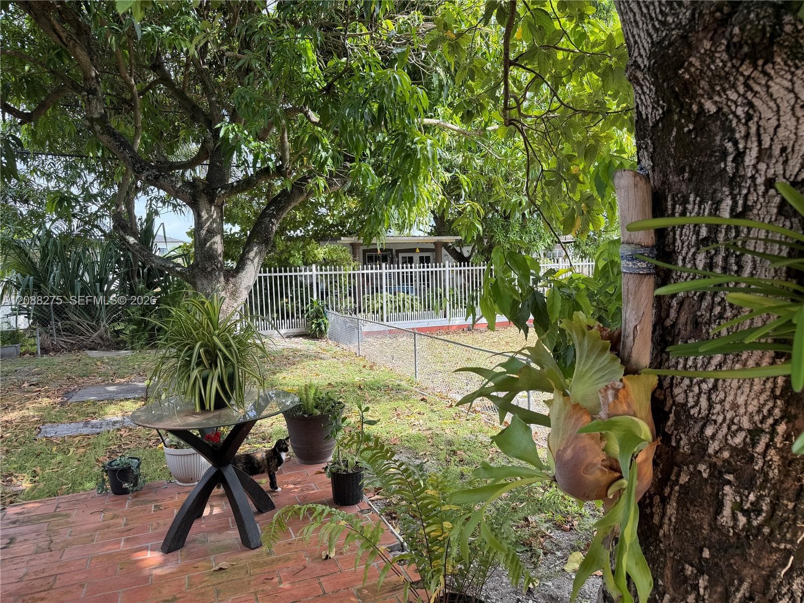 Backyard featuring brick paver patio, metal perimeter fencing, and mature trees