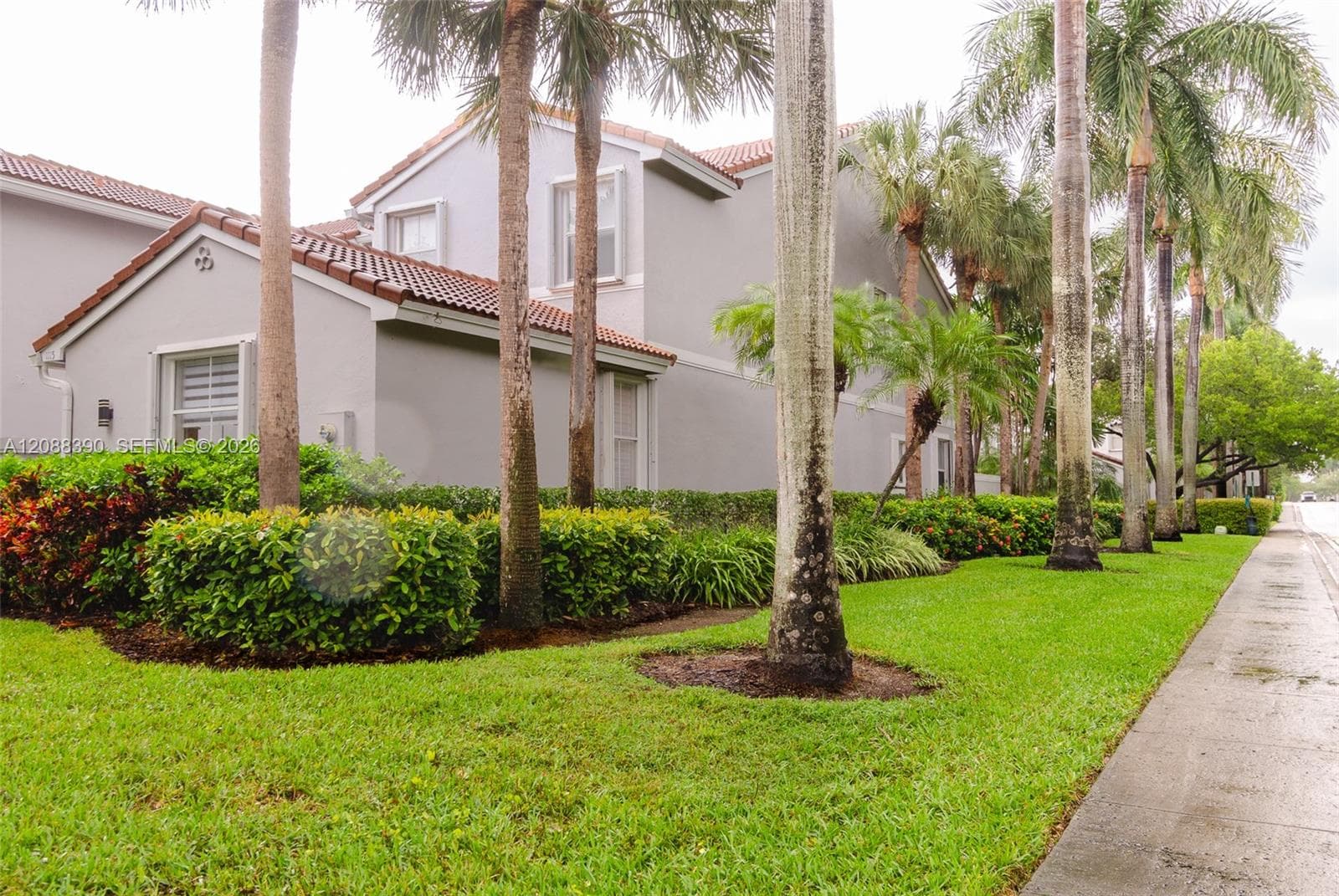 1115 Cherrypalm photo 2