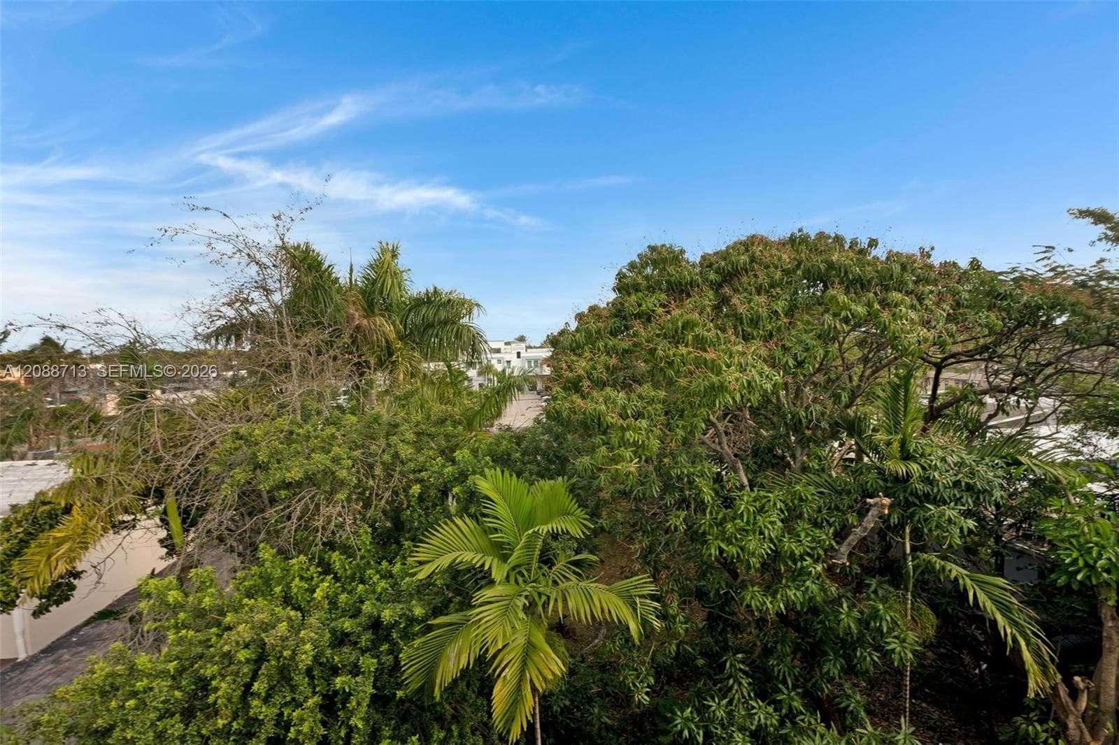 THE LEEWARD CONDO · #418-A in North Miami - Photo 35