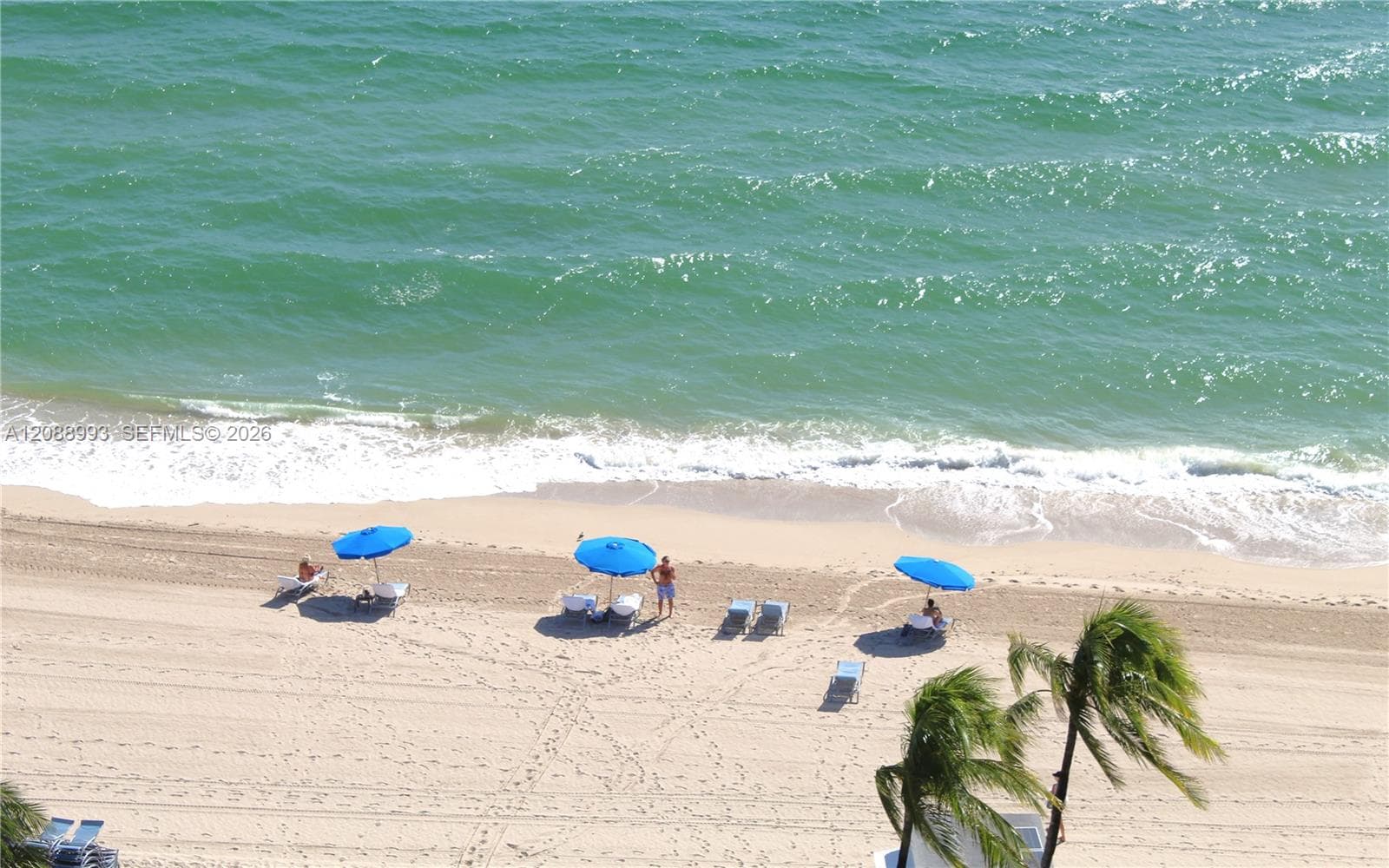 Harbour House · #1210 in Bal Harbour - Photo 24