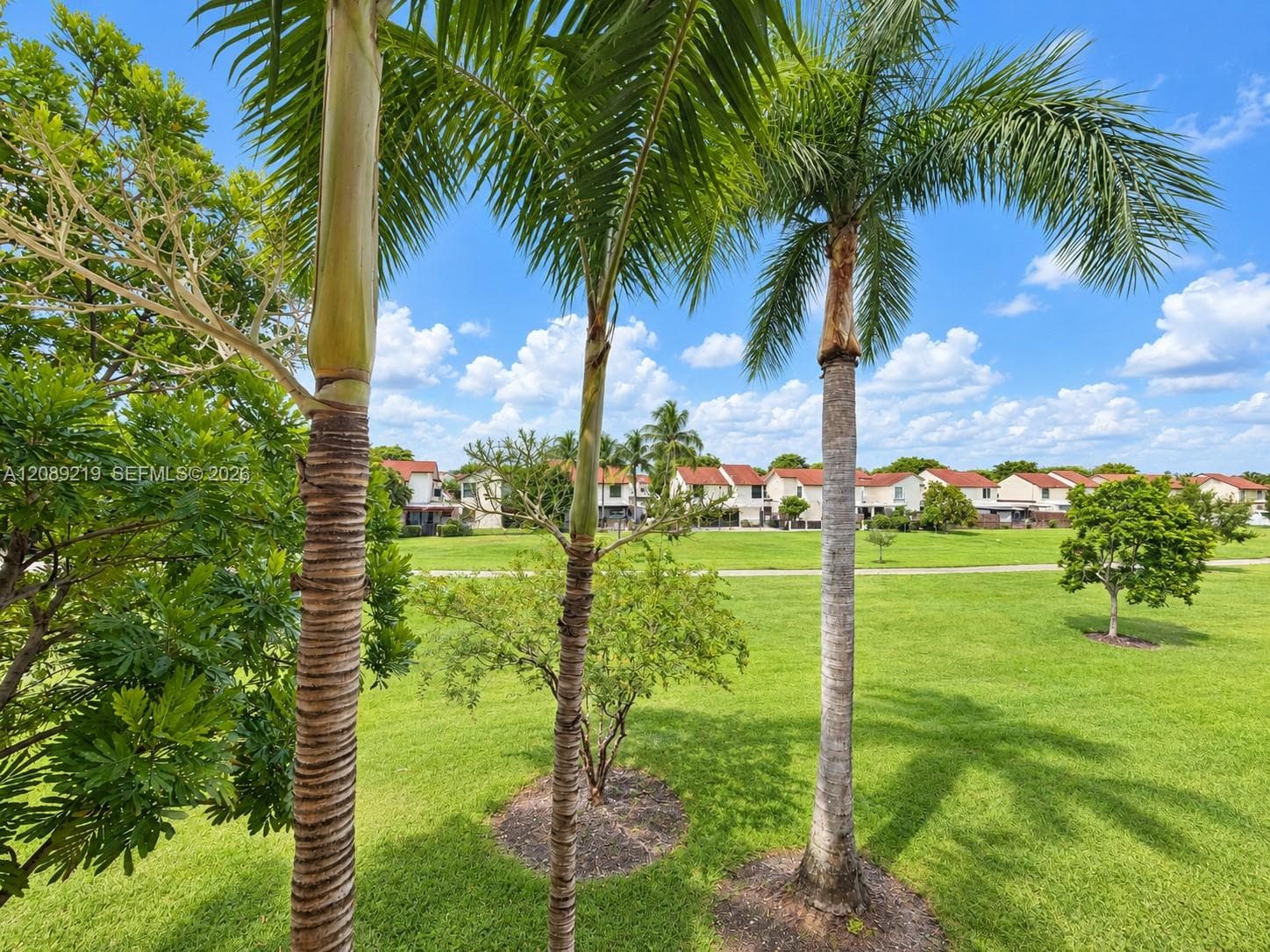 LAS SEVILLAS · #203 in Miami - Photo 10