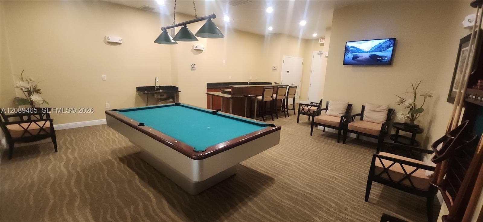 Billard and more room