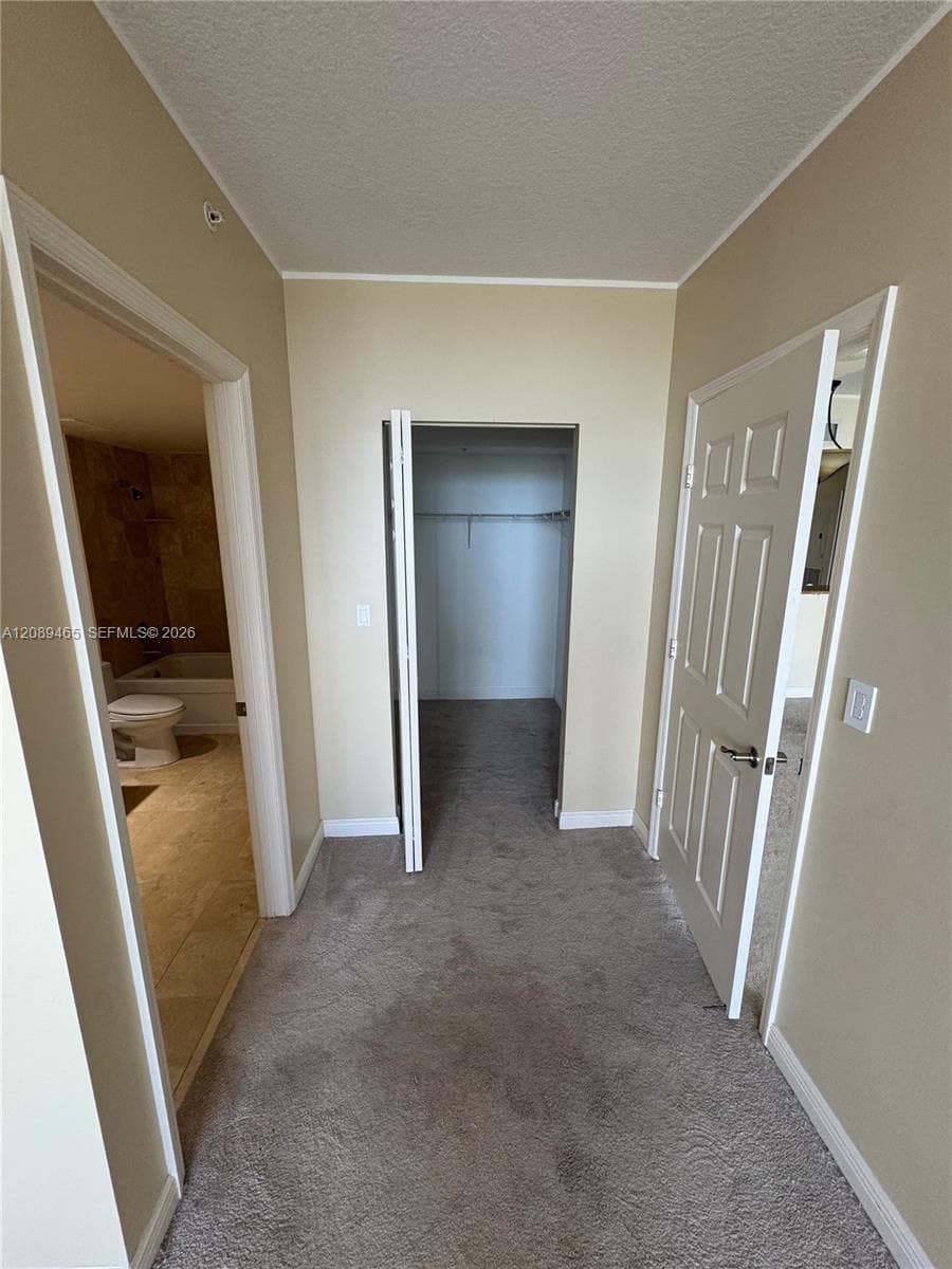 Interior hall featuring neutral-toned walls, carpeting, a reach-in closet with built-in shelving, and white six-panel doors in master bedroom with private bathroom