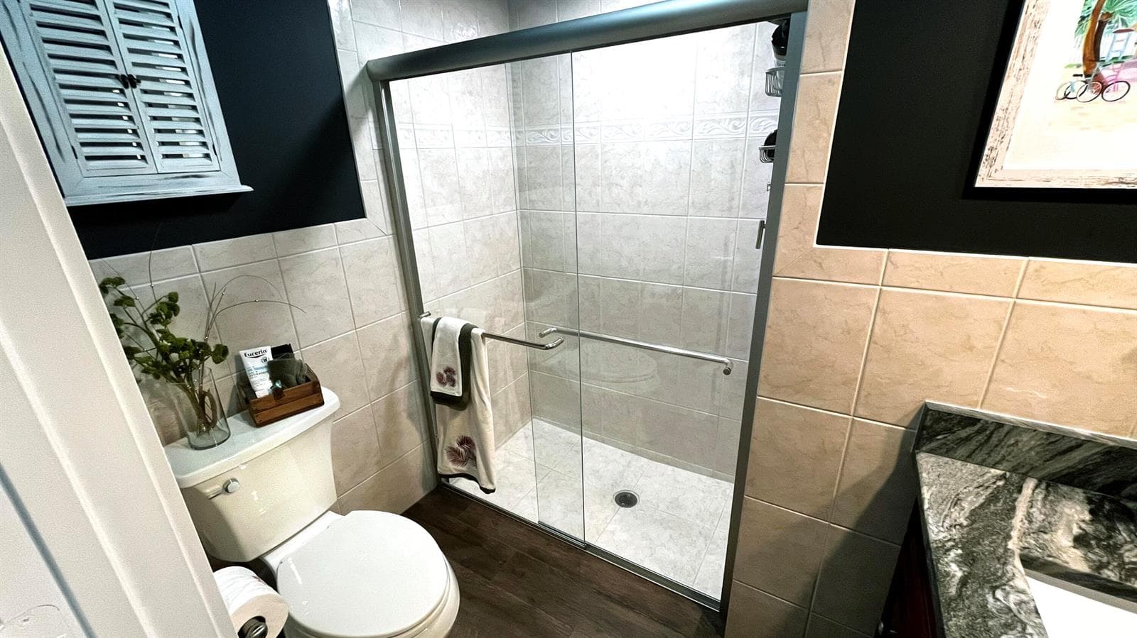 Guest Bathroom 2