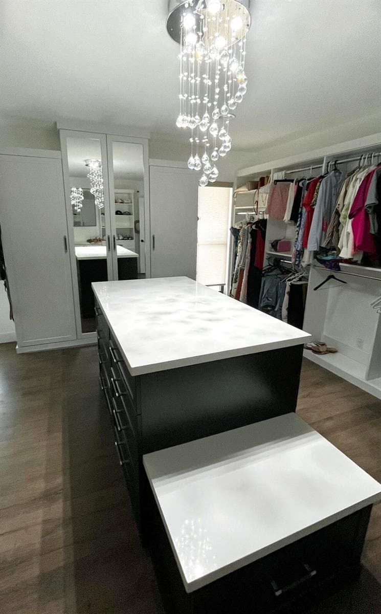 Primary Closet 2