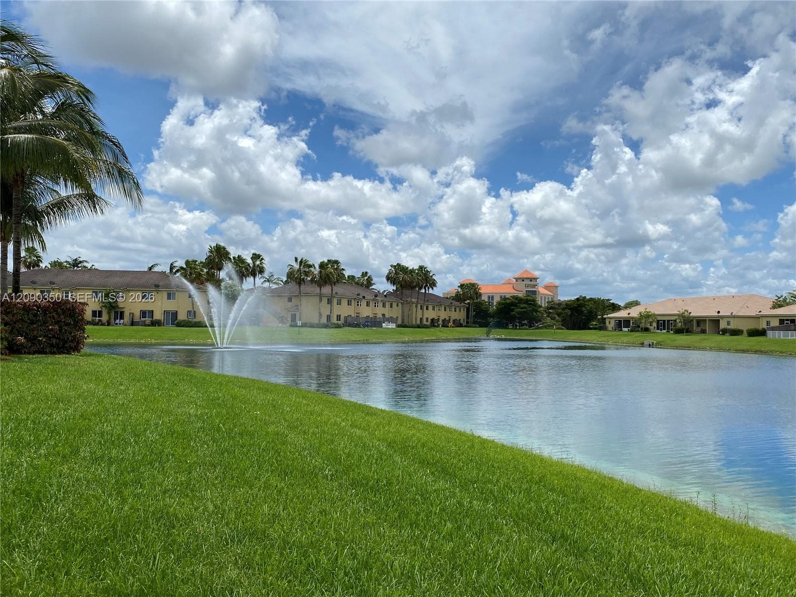 Community view
