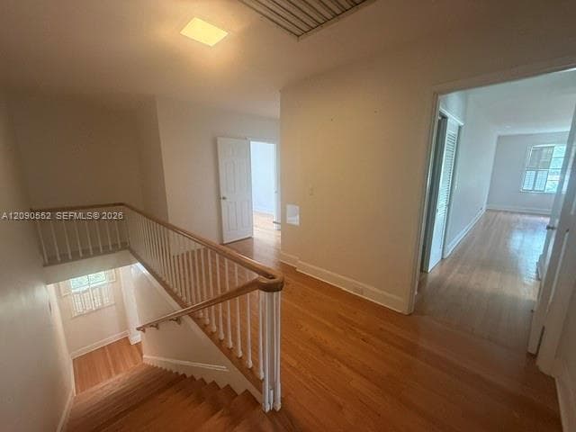 2805 Segovia St photo 16