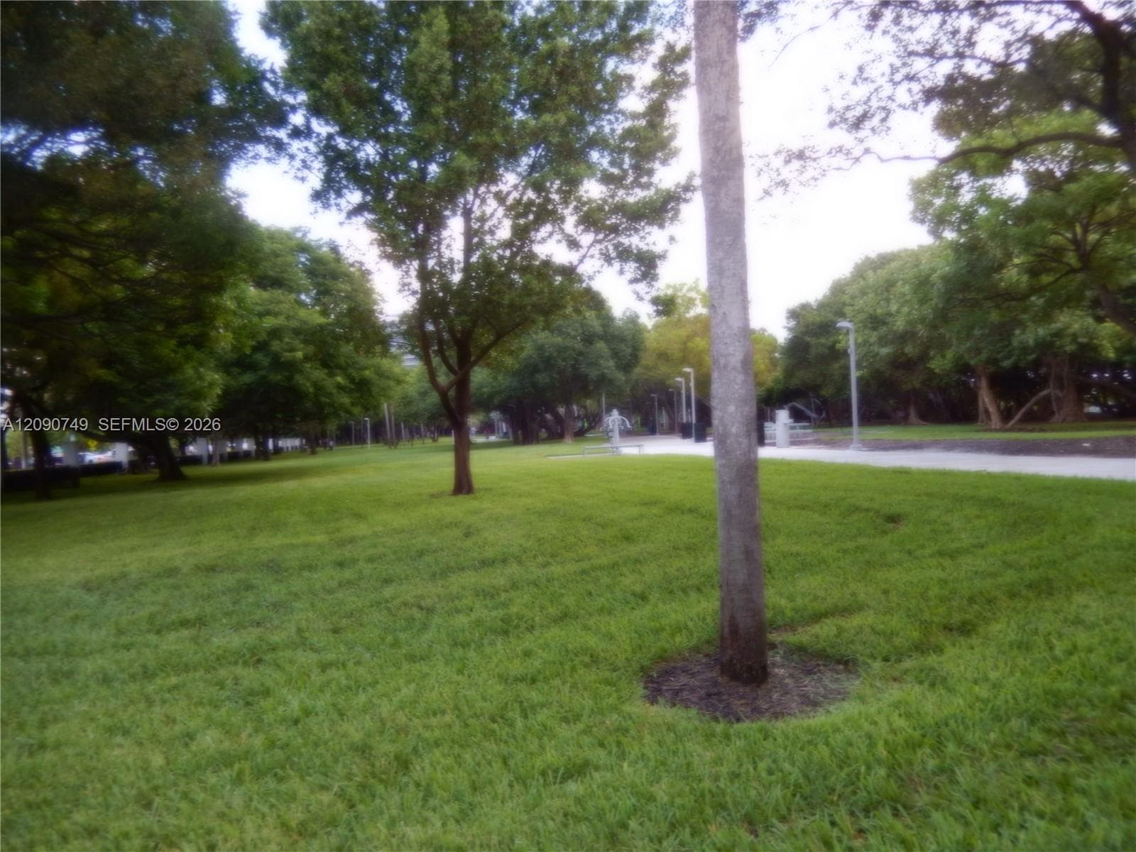 Beach Park