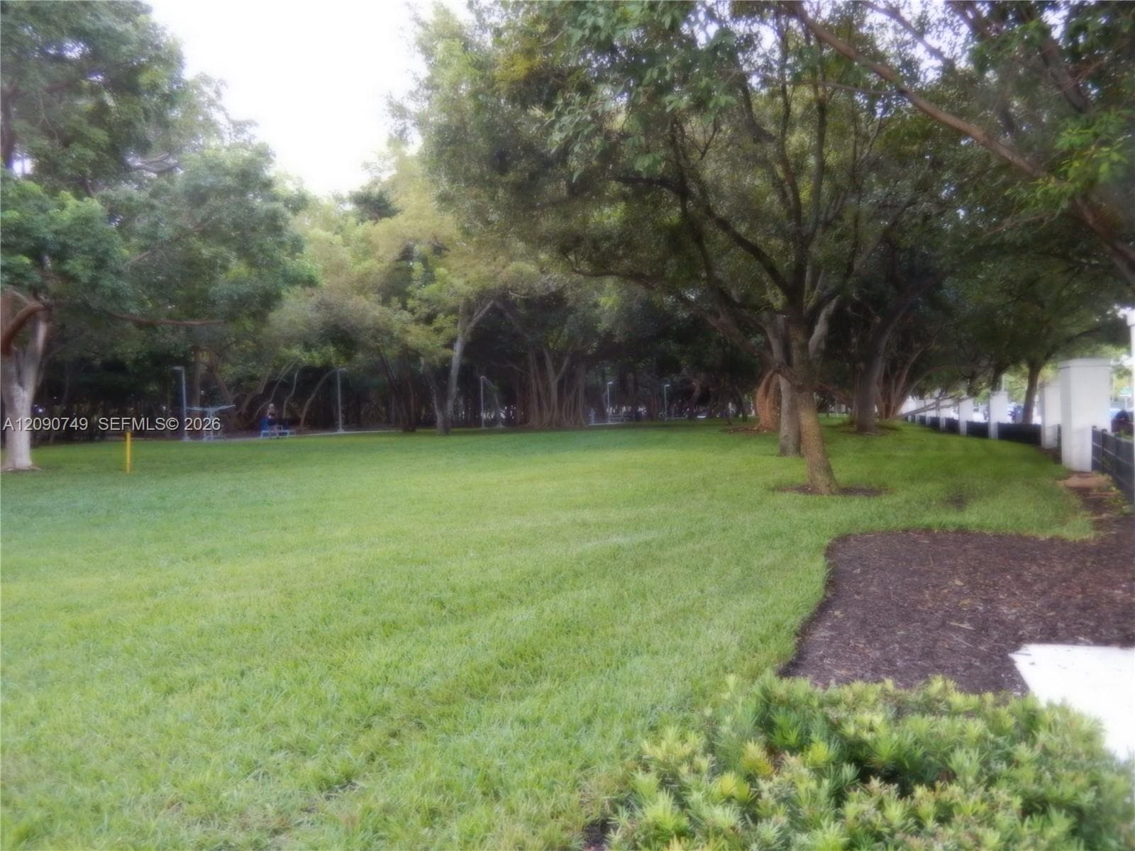 Beach Park