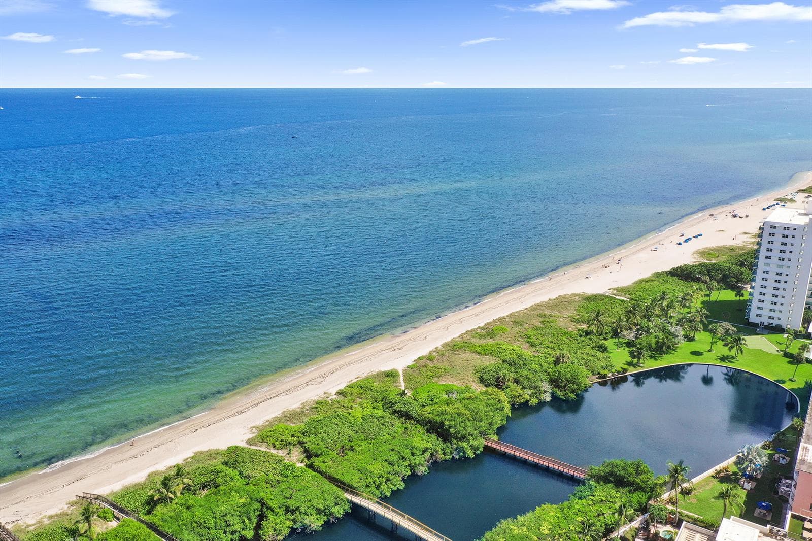 Aerial View 5