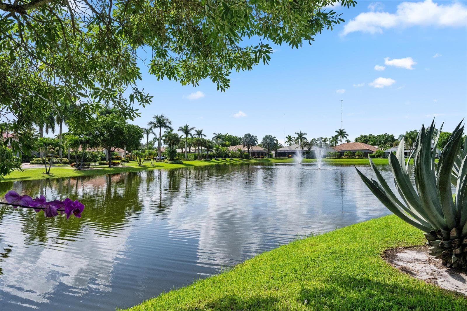 Beautiful Water Views