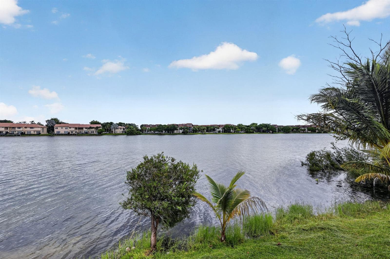 45-web-or-mls-8H3A2567