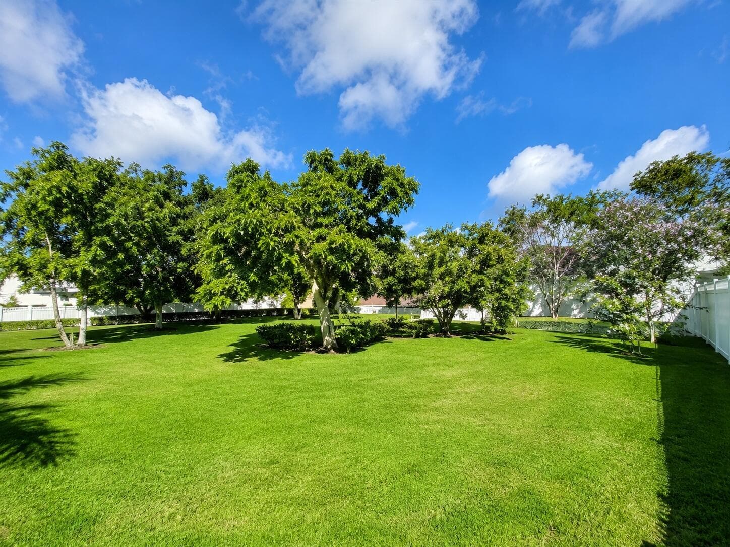 beautiful_backyard