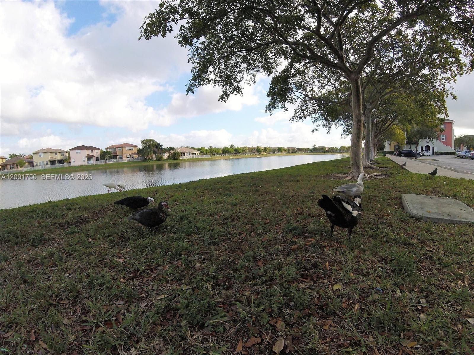 PROMENADE SHORES AT DORAL · #209 in Doral - Photo 23