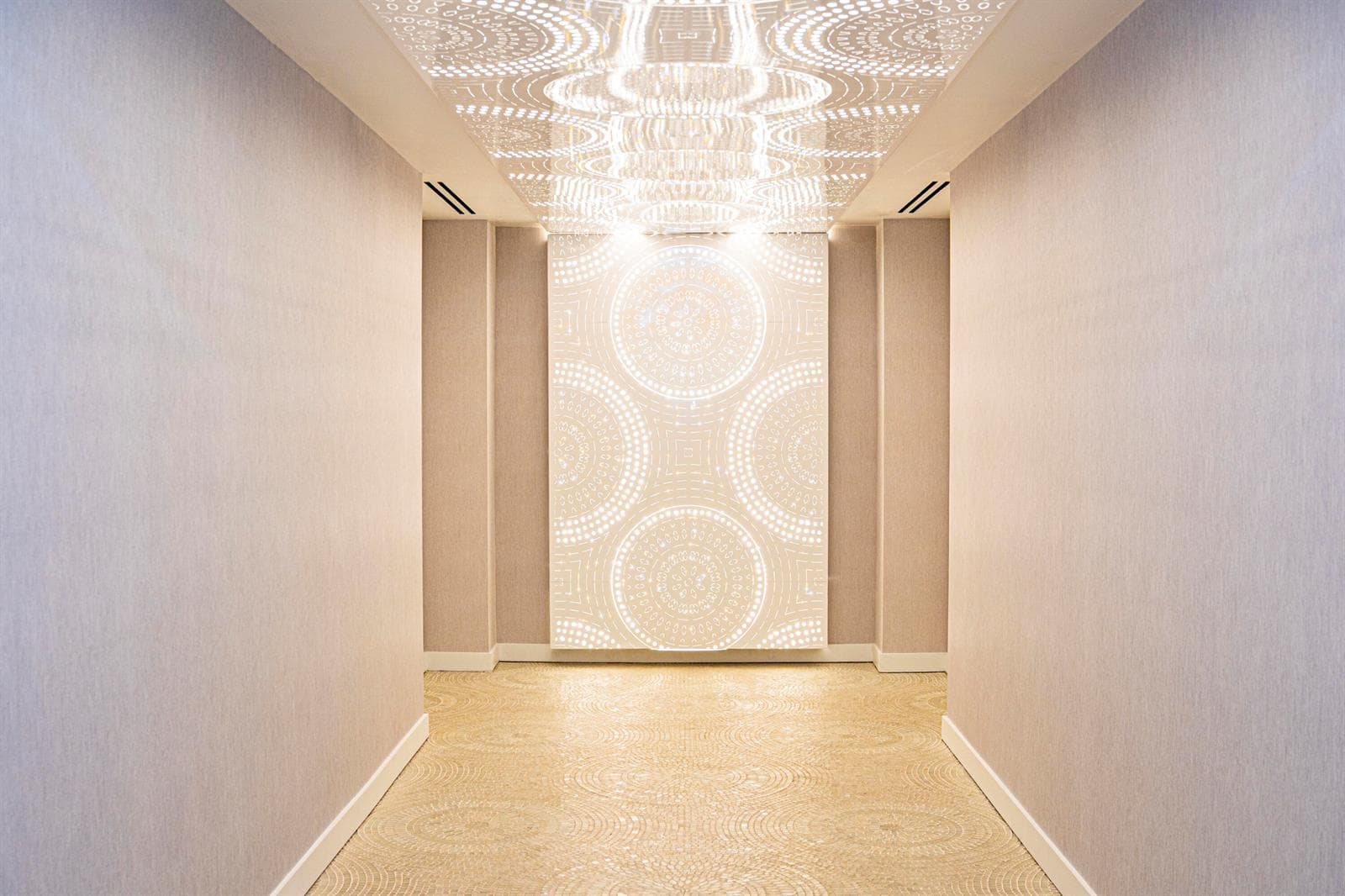 Alina 220 Spa Entrance (1)