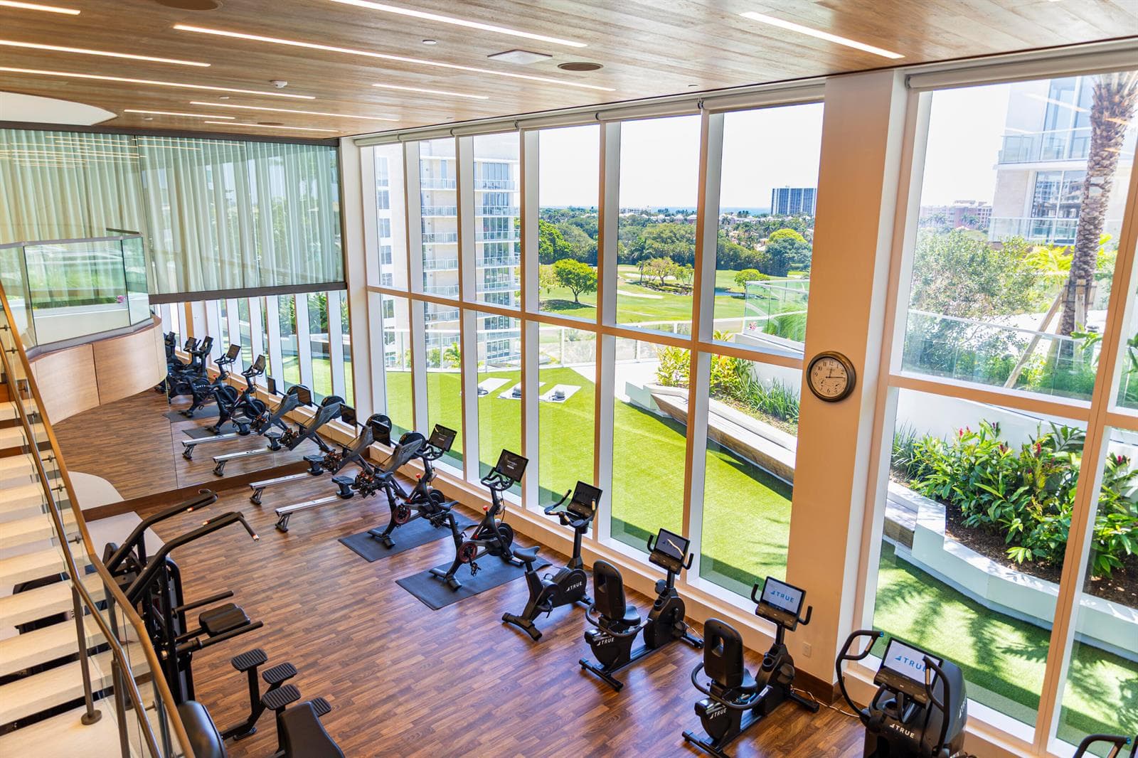 Alina 220 Gym