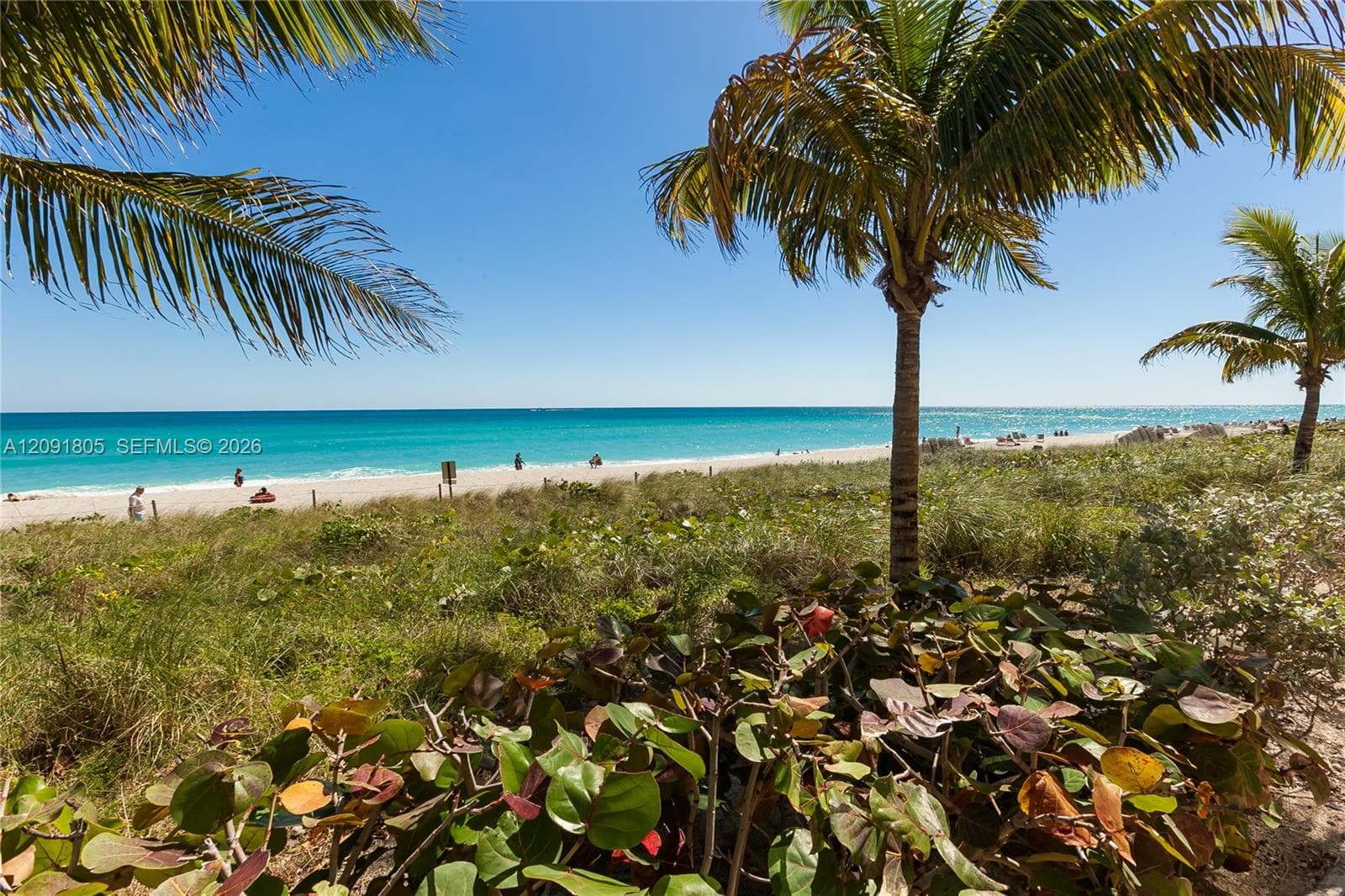 BEACH CLUB TWO CONDO · #2609 in Hallandale Beach - Photo 43