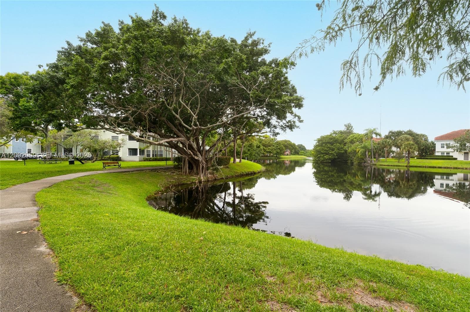 Walkways around the serene lake