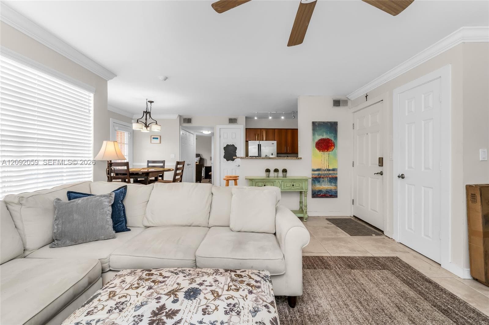 Lots of Light in Living Room