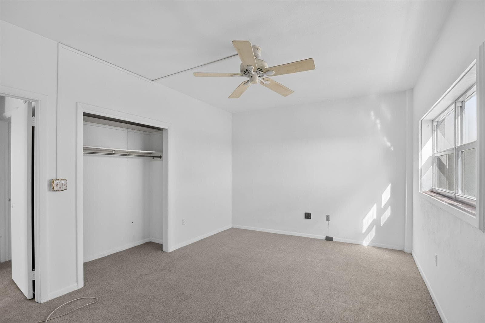 NEW CARPET SUMMER 2026