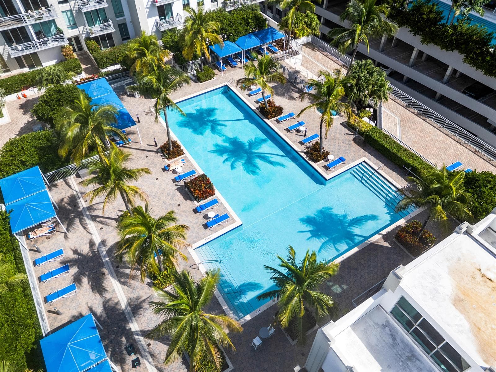 Salt Chlorinated Olympic Size Pool