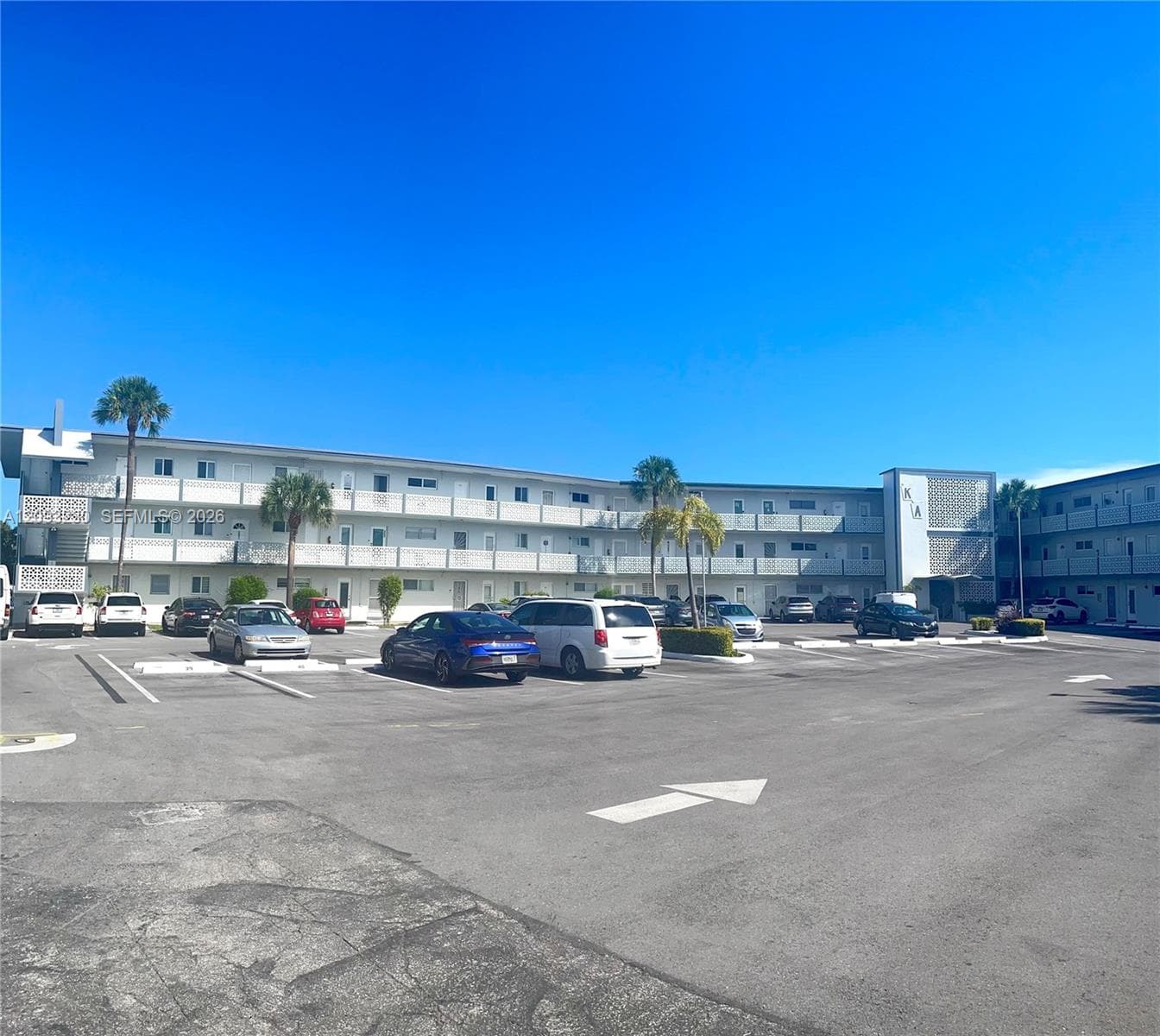 Expansive asphalt parking lot with painted directional arrows, bordered by established palm trees